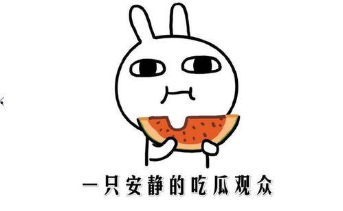 吃瓜群众另一种说法,揭秘“吃瓜群众”背后的真实故事