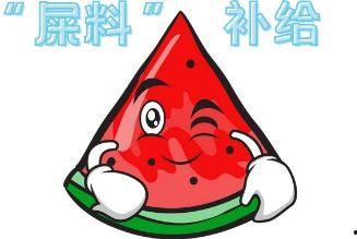 吃瓜现场是什么意思