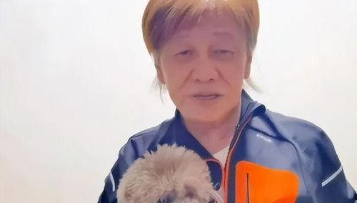 吃瓜系统娱乐圈一口气看完,一网打尽，尽享八卦盛宴